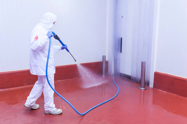 Best Spring Cleaning  in Butte, MT